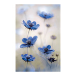 Blue Cosmos